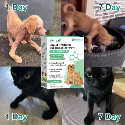 Vivireal® & Omega-3 & 9 in 1 Liquid Probiotic Supplement for Pets, 10 Billion CFU, supports dental, digestive, bone, and joint health. Helps relieve diarrhea, anxiety, pain, stress, sleep problems, arthritis, osteoporosis, and seizures.