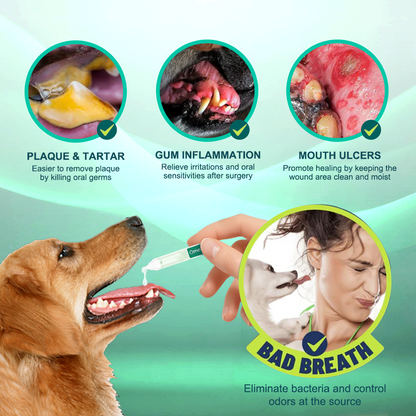 Vivireal® & Omega-3 & 9 in 1 Liquid Probiotic Supplement for Pets, 10 Billion CFU, supports dental, digestive, bone, and joint health. Helps relieve diarrhea, anxiety, pain, stress, sleep problems, arthritis, osteoporosis, and seizures.