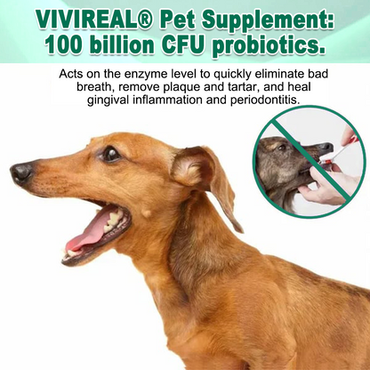 Vivireal® & Omega-3 & 9 in 1 Liquid Probiotic Supplement for Pets, 10 Billion CFU, supports dental, digestive, bone, and joint health. Helps relieve diarrhea, anxiety, pain, stress, sleep problems, arthritis, osteoporosis, and seizures.