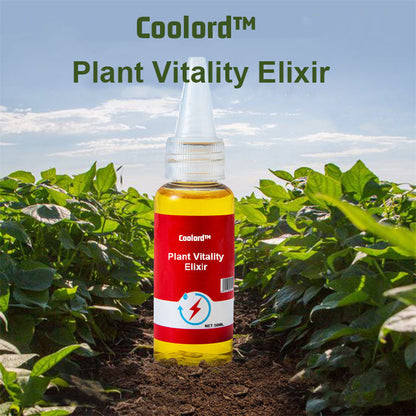 Coolord™ Phytovitamin Solution