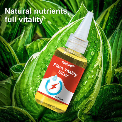 Coolord™ Phytovitamin Solution