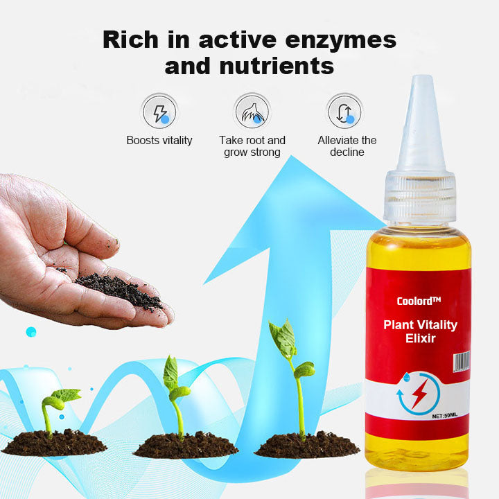 Coolord™ Phytovitamin Solution