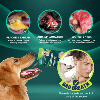 Vivireal® Pet Supplement: 100 billion CFU probiotics. Supports dental, digestive, bone & joint health. Helps relieve diarrhea, anxiety, pain, stress, sleep issues, arthritis, osteoporosis, and seizures.
