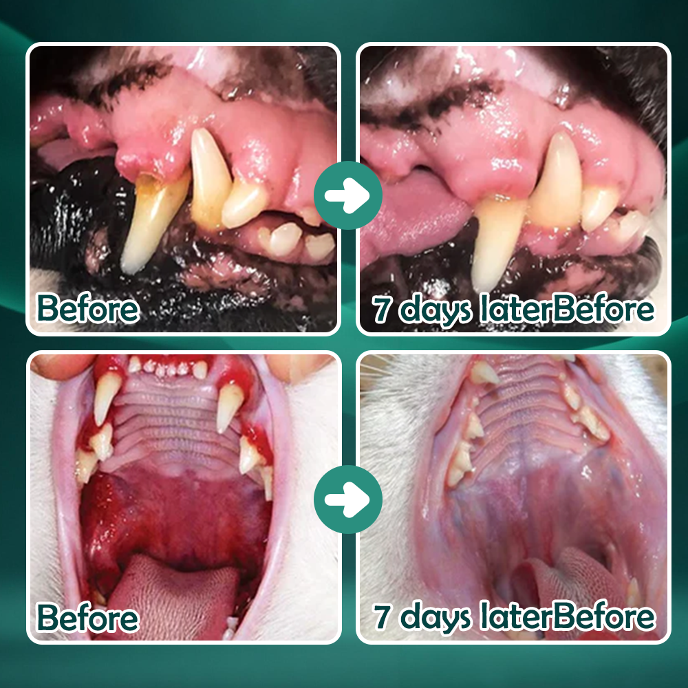 Vivireal® Pet Supplement: 100 billion CFU probiotics. Supports dental, digestive, bone & joint health. Helps relieve diarrhea, anxiety, pain, stress, sleep issues, arthritis, osteoporosis, and seizures.