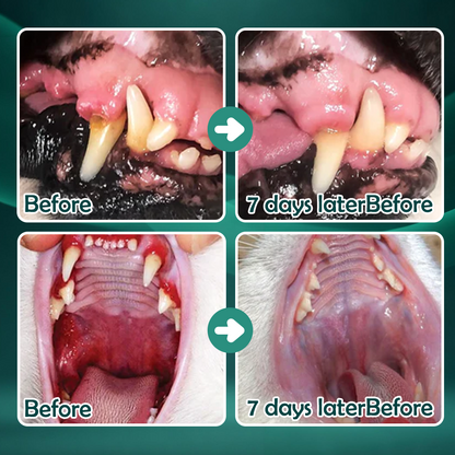 Vivireal® Pet Supplement: 100 billion CFU probiotics. Supports dental, digestive, bone & joint health. Helps relieve diarrhea, anxiety, pain, stress, sleep issues, arthritis, osteoporosis, and seizures.