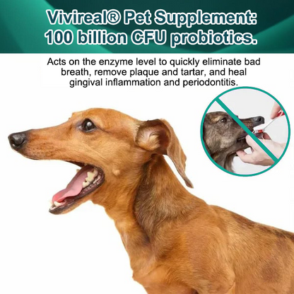 Vivireal® Pet Supplement: 100 billion CFU probiotics. Supports dental, digestive, bone & joint health. Helps relieve diarrhea, anxiety, pain, stress, sleep issues, arthritis, osteoporosis, and seizures.