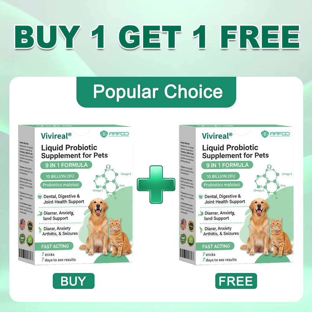 Vivireal® & Omega-3 & 9 in 1 Liquid Probiotic Supplement for Pets, 10 Billion CFU, supports dental, digestive, bone, and joint health. Helps relieve diarrhea, anxiety, pain, stress, sleep problems, arthritis, osteoporosis, and seizures.