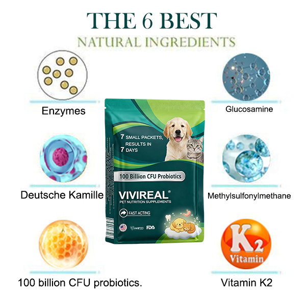 Vivireal® Pet Supplement: 100 billion CFU probiotics. Supports dental, digestive, bone & joint health. Helps relieve diarrhea, anxiety, pain, stress, sleep issues, arthritis, osteoporosis, and seizures.