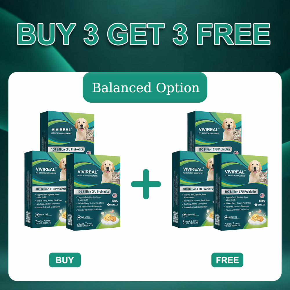 Vivireal® Pet Supplement: 100 billion CFU probiotics. Supports dental, digestive, bone & joint health. Helps relieve diarrhea, anxiety, pain, stress, sleep issues, arthritis, osteoporosis, and seizures.