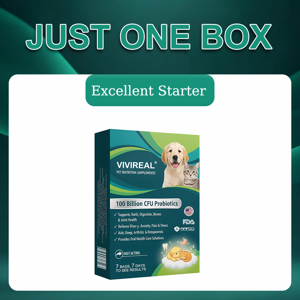 Vivireal® Pet Supplement: 100 billion CFU probiotics. Supports dental, digestive, bone & joint health. Helps relieve diarrhea, anxiety, pain, stress, sleep issues, arthritis, osteoporosis, and seizures.