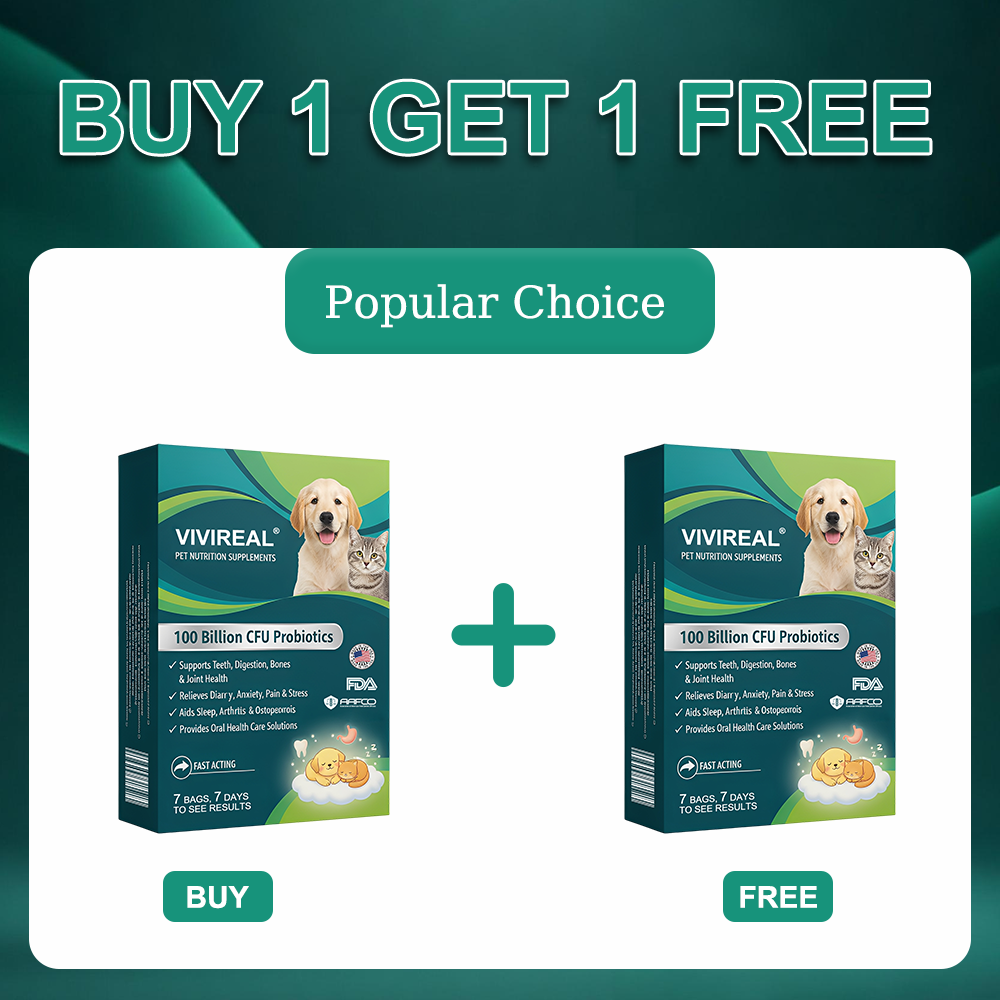 Vivireal® Pet Supplement: 100 billion CFU probiotics. Supports dental, digestive, bone & joint health. Helps relieve diarrhea, anxiety, pain, stress, sleep issues, arthritis, osteoporosis, and seizures.