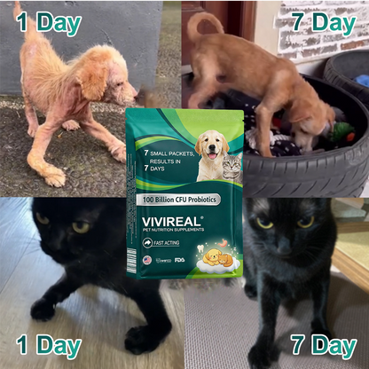 Vivireal® Pet Supplement: 100 billion CFU probiotics. Supports dental, digestive, bone & joint health. Helps relieve diarrhea, anxiety, pain, stress, sleep issues, arthritis, osteoporosis, and seizures.