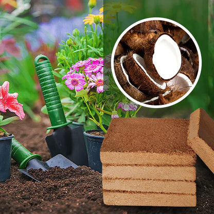 Last Day Sale 49% OFF✨ - Organic Coconut Coir for Plants(Collected from Pacific island countries)