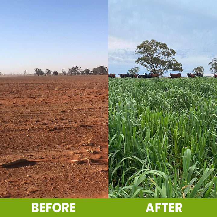 CVREOZ Soil Activator